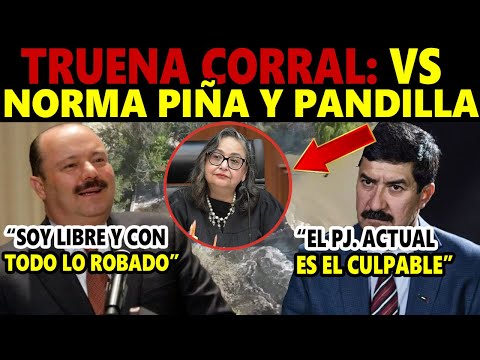 Maru Campos tiene una red protectora que construyó, repartiendo, entre pocos, los recursos de todos.