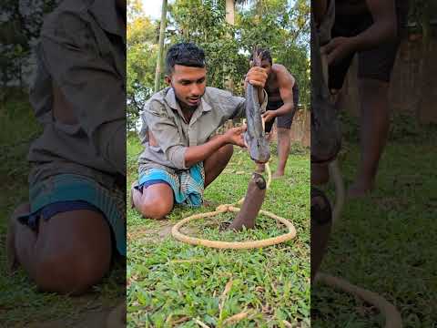 শ'ব্দ করে আসতেছে খেয়াল করিয়া