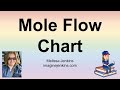 Mole Concept and Conversions
