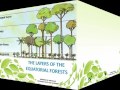 Desert and Tropical Climate Characteristics