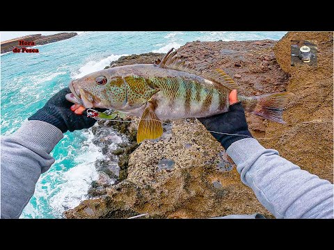 ¡Bestia al primer lance! | Pesca extrema en peñas con señuelo artificial