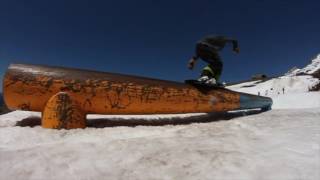 BRED2shred