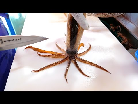 오징어회 가장 저렴한 곳 / How to make squid and gizzard shad sashimi / Korean Street Food