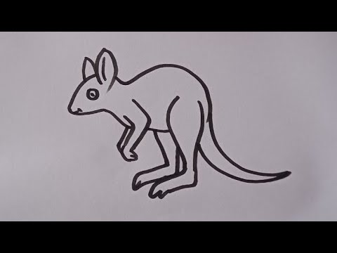 Kangaroo 🦘 drawing/how to draw a kangaroo/Kangaroo drawing easy step by step/Animal drawing