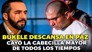 BUKELE DESCANSA EN PAZ! Cayo la cabecilla mayor de todos los tiempos 😱