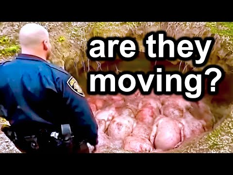 Shocking Discoveries Caught on Police Bodycam