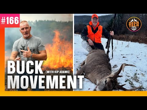 #166: BUCK MOVEMENT with Kip Adams | Deer Talk Now Podcast