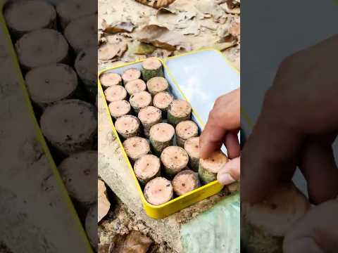 CAMPING Made EASY with These Charcoal Hacks!