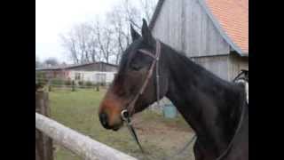 Freska
