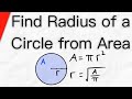 Finding Radius and Area of Circles