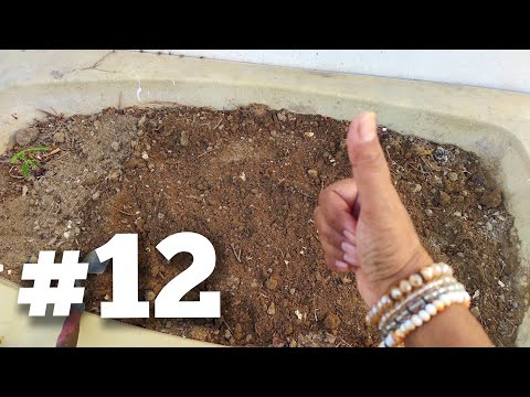 Garden Rebuild #12: The Wait is Over - Compost is Ready!