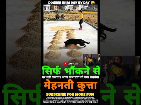 मेहनती कुत्ता 😂 #motivationalvideo #motivation #inspiration #success #motivationalquotes #Short