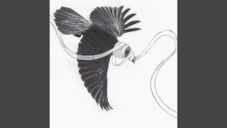 How It Is. How It Is Going to Be.