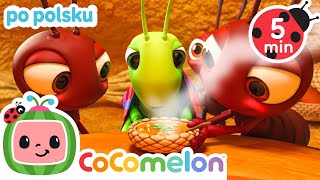 Mrówki i konik polny | CoComelon po polsku 🍉🎶 Piosenki dla dzieci