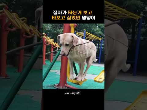 이렇게 타는거 맞지??