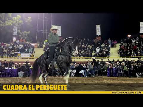 🐴 COQUITO ~ ADRIÁN GAXIOLA ~ FERIA GANADERA CULIACAN