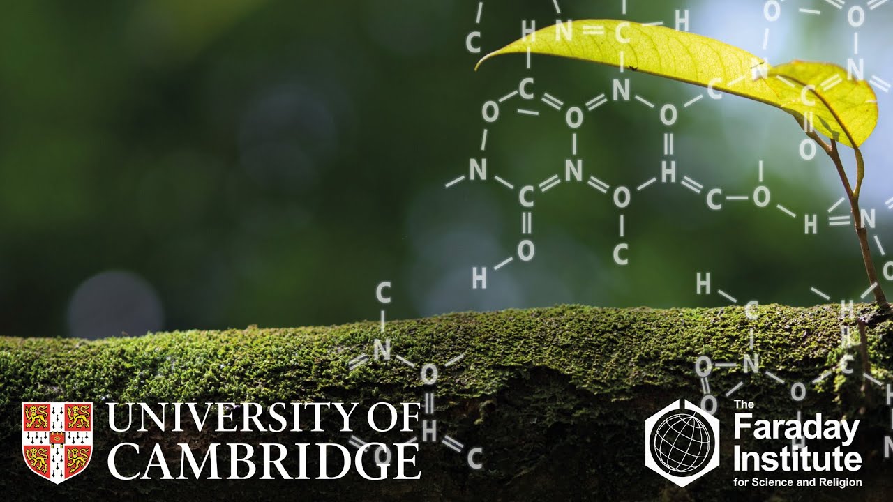 How and Why Cells Die – Biological and Theological Perspectives