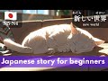 小さな猫の冒険