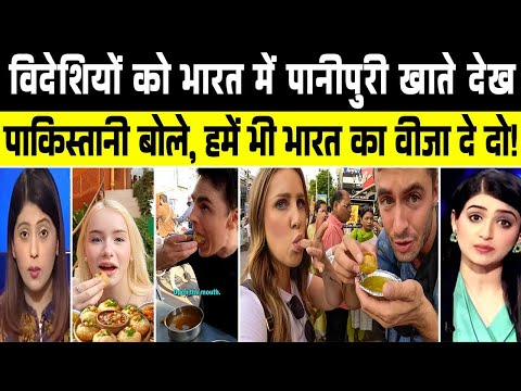 Why Are Foreigners Crazy About Pani Puri? | Foreigners Reactions On Indian Street Food