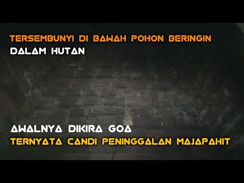 Awalnya Dikira Goa Terjepit Pohon Besar, Ternyata Candi Peninggalan Majapahit-Candi Wringin Branjang