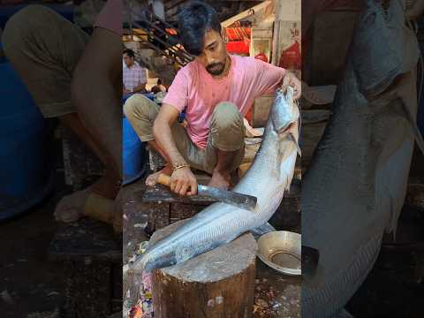 I Never Seen! 😲 Amazing Monster Boal Fish Cutting By Expert Fish Cutter || Part-1 #shorts