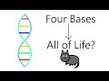Mutations and DNA Functionality