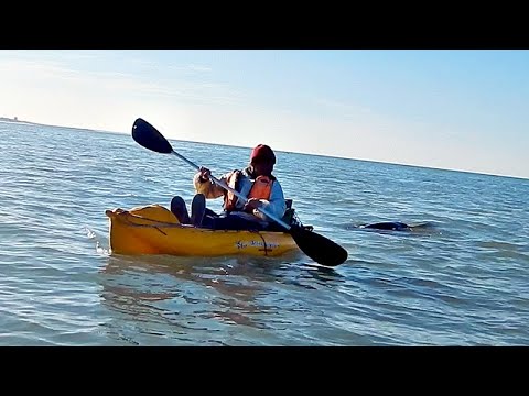 PESCADOR ESCAPA DE UNA SOMBRA QUE SURGE DE LAS PROFUNDIDADES DEL MAR