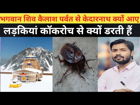 शंकर जी कैलाश पर्वत से केदारनाथ क्यों आए | #Khansir​#Khansirpatna​