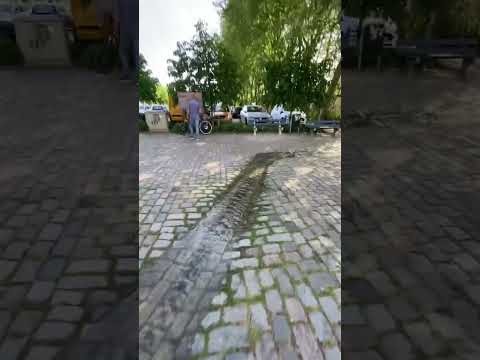  وده المنظر اللي هتشوفه على حدود ألمانيا وبلجيكا وهولندا 😳!!