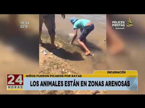 Niños fueron picados por rayas