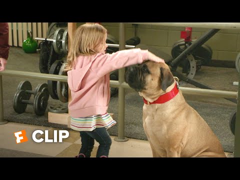 Playing With Fire Movie Clip - Sparkle Pony (2019) | Movieclips Coming Soon
