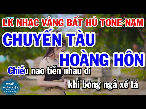 Karaoke Liên Khúc Nhạc Vàng Tone Nam | Chuyến Tàu Hoàng Hôn | Chuyện Giàn Thiên Lý