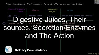 Digestive Juices, Their sources, Secretion/Enzymes and The Action