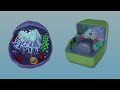 Plant and Animal Cell Functions