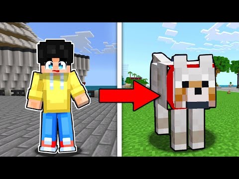 I PRANKED MY FRIEND as A DOG in Minecraft! ( Tagalog )