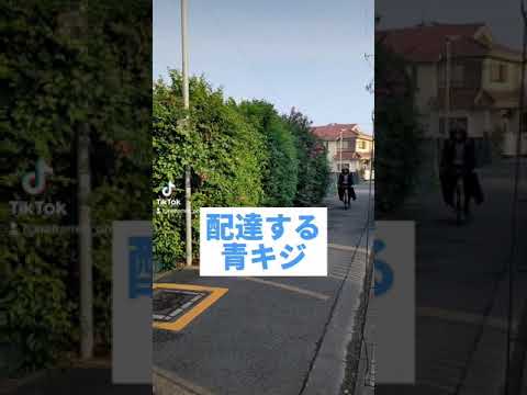 【ONEPIECE】青キジモノマネシリーズ