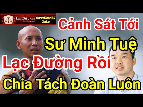 🔴 Tin Mới Nhất Sư Thích Minh Tuệ Bị Lạc Đường Và Phải Chia Đoàn Khất Thực ? Luật Sư Vlogs