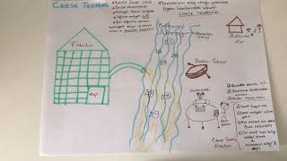 Maliye Coase Teoremi Nedir?  👴🏼🤝👨🏻 İzledikten sonra Asla unutmayacaksınız ❌‼️