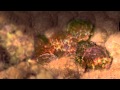 Understanding Cancer Formation