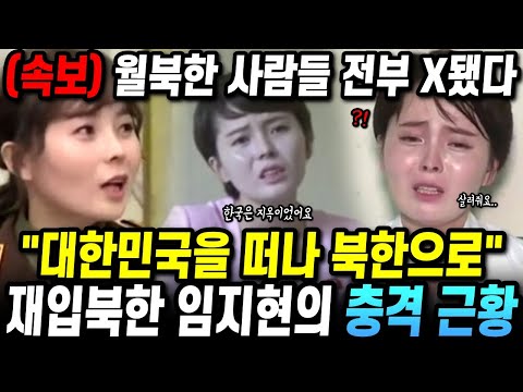 한국을 떠나 북한으로 재입북한 임지현의 충격 근황 "월북자들 전부 큰일났다"