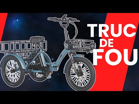 Test d'un tricycle électrique de malade (Fafrees F20 Mate)