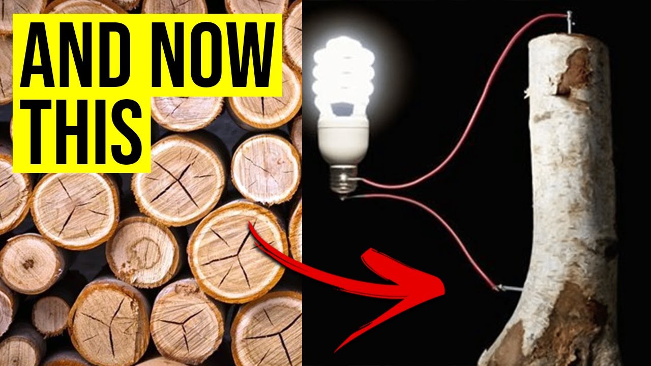 Unbelievable: This Battery produces Energy with Wood!!