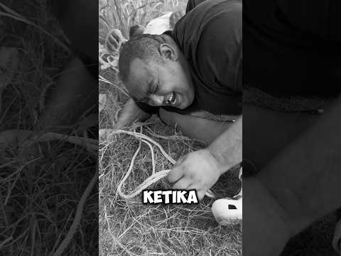 Lakukan ini Untuk Membuat Lawanmu Terkejut 😨
