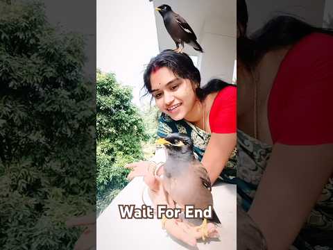 মিঠুর ভয়ে টুসু পুজার মাথা থেকে নামছেনা 😄#viralvideo #viralshorts #shortvideo#shortsviral #ytshorts