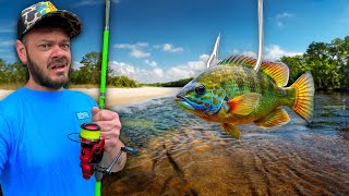 Chasing GIANT River Fish with Cut Bait!