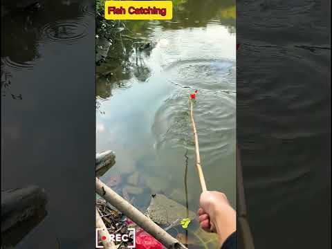 Unique net fishing |Mach dhora|hook fishing #fishing #ytshorts #shorts