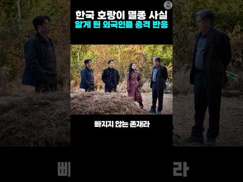 한국호랑이 멸종 사실 알게 된 외국인들 충격 반응