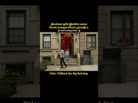A little red dog suddenly grows as big as an elephant#shorts #short