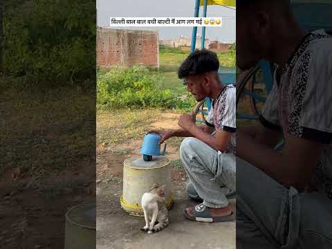 #viralvideo #funny