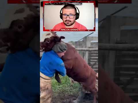 AGARRANDO UN TORO